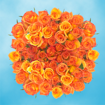 100 Dark Orange Roses