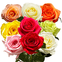 (HB) Dozen Long Roses DC: (Gypso and Green) For Delivery to Wisconsin_Rapids, Wisconsin