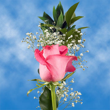rose single parents Abstract: child poverty is an ongoing national concern, but few are aware that its principal cause is the absence of married fathers in the home marriage remains america’s strongest anti-poverty weapon, yet it continues to decline. rose single parents Abstract: child poverty is an ongoing national concern, but few are aware that its principal cause is the absence of married fathers in the home marriage remains america’s strongest anti-poverty weapon, yet it continues to decline.