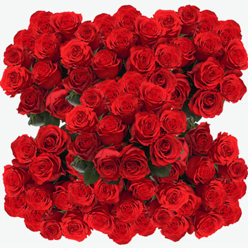(HB) Rose Sht Undercover Red 10 Bunches For Delivery to North_Platte, Nebraska