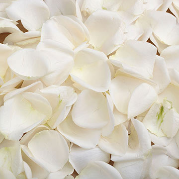 Bulk Flower Petals | Rose Flower Petals For Wedding | GlobalRose