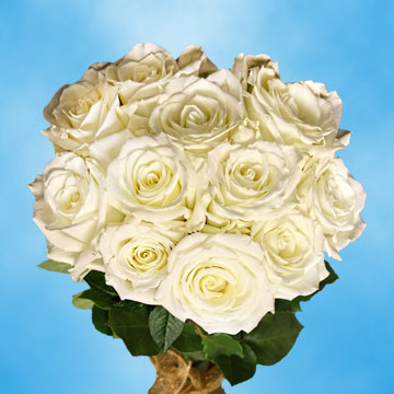 Vibrant White Wedding Roses | GlobalRose