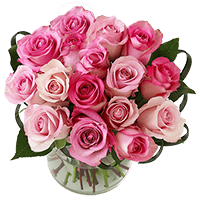 (BDx10) Royal Dark Pink and Light Pink Roses 3 Centerpieces For Delivery to Santa_Barbara, California