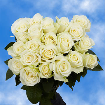 White Roses For Birthday | GlobalRose